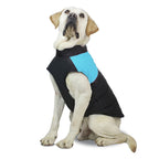 Pet Dog Cotton Vest Ski Suit, Size: L, Chest: 46cm, Back Length: 35cm, Size: L Size: L Blue