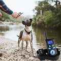 Automatic Anti Barking Collar Pet Training Control System + Electric Shock PU Leather Collar for Dogs, PD520 PD520