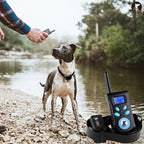 Automatic Anti Barking Collar Pet Training Control System + Electric Shock PU Leather Collar for Dogs, PD520 PD520