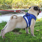 Double-end Steel Wire Rope Pet Dogs 2 in 1 Traction Rope Pet Walking Leads With Handle, Length: 5m,Random Color Delivery, Length: 5m – Durable Build, Easy to Use