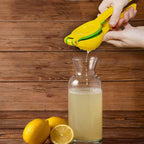 LsCook Aluminum Alloy Manual Dual Layers Lemon Juicer, Random Color Delivery, Aluminum Alloy