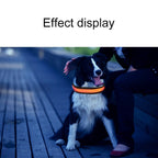 Medium and Large Dog Pet Solar + USB Charging LED Light Collar, Neck Circumference Size: S, 35-40cm, Size: S