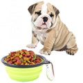 Portable Pet Folding Feeding Bowl Silicone Water Dish Feeder Puppy Travel Bowl, Random Color Delivery, Bowl Diameter: 13cm Green