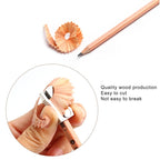12pcs Drawing Writing Sketch Wooden Pencil Pre-sharpened 2B Art Graphite Pencils, 2B