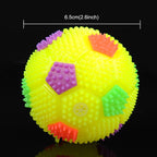Dog Toy Balls for Pets Color Pet Flashing Ball Glowing Elastic Ball Dog Toy Ball Rubber Acoustic Mimo Bite Toys , Small Size,Random Color Shape Delivery, Small Size