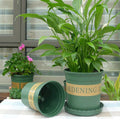 Flower Pots Plant Nursery Pots Plastic Pots Creative Gallons Pots with Tray,Size:12*16*12cm, Random Text Background Color Delivery, 12*16*12cm 12*16*12cm