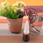 2 PCS Gardening Automatic Watering Machine Drip Irrigation Set Flowers Potted Watering Device Automatic Watering Irrigation Kits Device, Watering Pot 12 Watering Pot 12