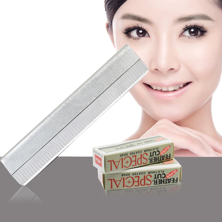 10 PCS Professional Hairdressing Tools Scraper Blade Eyebrow Trimmer Shaving Scratching Hair Feather Blade(Silver) Default Title