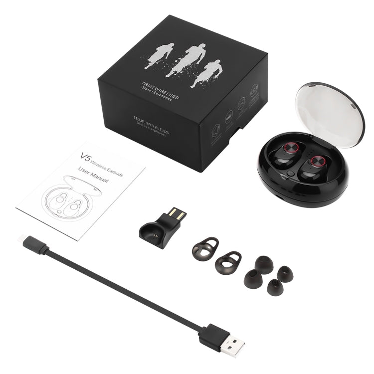 BTH-V5 Case – Noise Cancelling