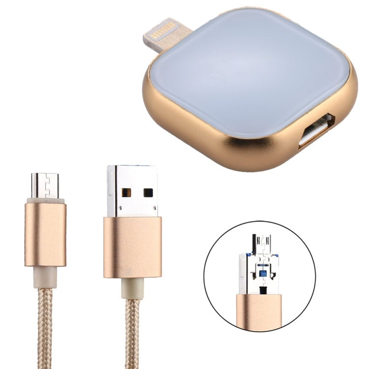 RQW-18S USB Flash Drive – 8 Pin 128GB Multi-functional Flash Disk Drive with USB / Micro USB to... (Gold) RQW-18S Gold