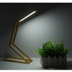 LED Desk Lamp 3W Folding Adjust USB Charging Eye Protection Table Lamp