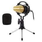 BM-700 USB Professional Condenser Microphone Default Title