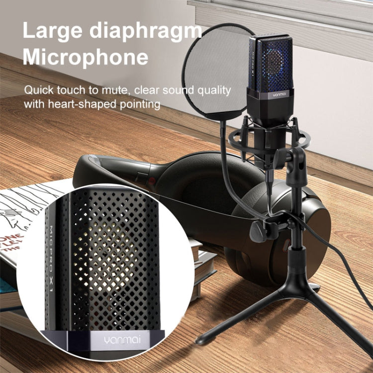 Yanmai X1 4 in 1 Foldable Lifting Professional Desktop Live Broadcast Cardioid Pointing Condenser Recording Microphone Set with Blowout Net & Shockproof Mount & 1.8m USB-C / Type-C Cable, X1
