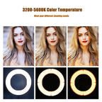 MANTOO RL-18 II 100-240V 55W 18 inch Two-color Dimmable Ring Fill Light with Tripod, 18 inch
