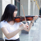 4/4 Full Size Acoustic Violin Handmade Solid Wood Violin, Violin – Aluminum Alloy