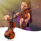 4/4 Full Size Acoustic Violin Handmade Solid Wood Violin, Violin – Aluminum Alloy