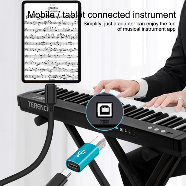 Type-C Female to MIDI Male Universal Adapter for Electronic Musical Instruments – Durable Build, Easy to Use