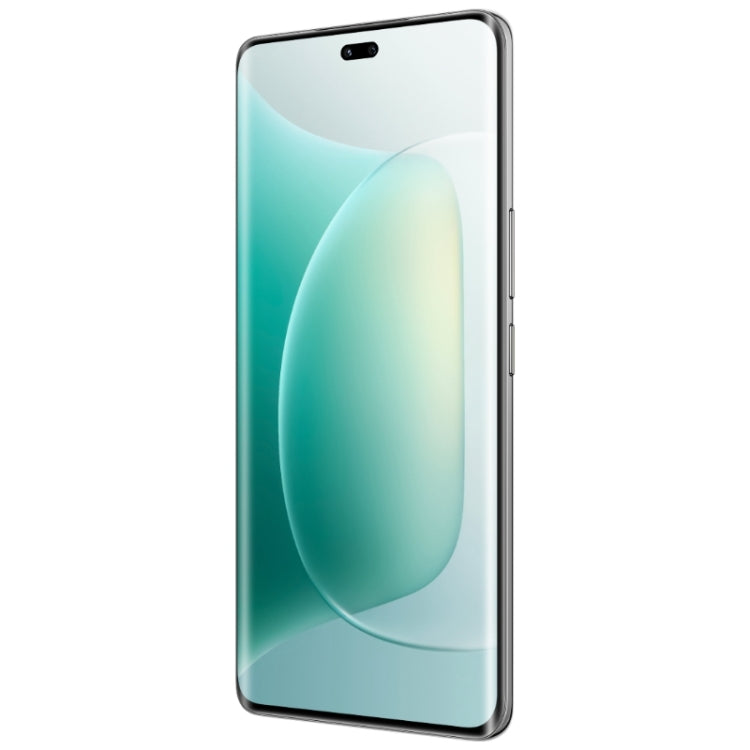 Honor 300 Pro, 12GB+256GB, Screen Fingerprint, 6.78 inch MagicOS 9.0 / Android 15 Snapdragon 8 Gen 3 Octa Core, Network: 5G, NFC, OTG, Not Support Google Play, Honor 300 Pro, 12GB+256GB – Fast Charging