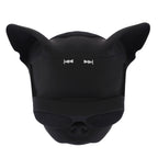 Accessory – For Mobile Phones / Tablets / Laptops, Support TF Card & AUX Input,...