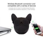 Accessory – For Mobile Phones / Tablets / Laptops, Support TF Card & AUX Input,...