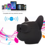 Accessory – For Mobile Phones / Tablets / Laptops, Support TF Card & AUX Input,...