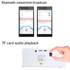 YM370 Bluetooth Speaker – Hands-Free