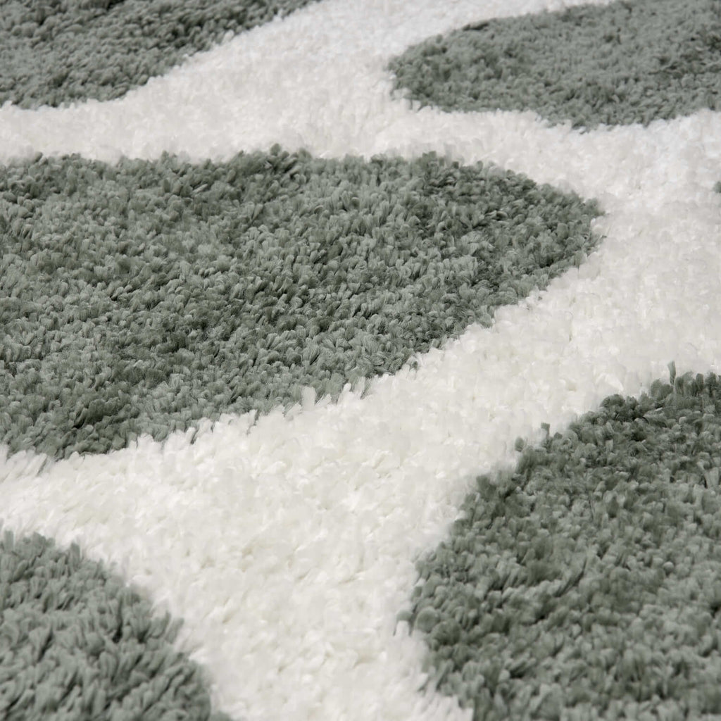 Moodi Shaggy Green Erosan Rug