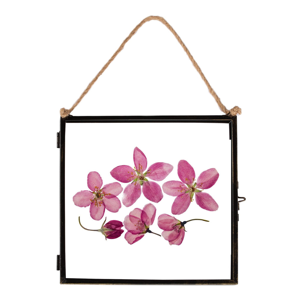 8" x 8" Black Hanging Metal Photo Frame