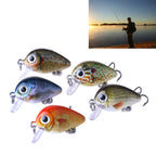 HENGJIA 5 PCS 2.7cm/1.5g Luya Rock Fishing Lures Bait Bionic Kit with Plastic Box, Box008 Box008