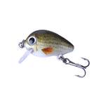 HENGJIA 5 PCS 2.7cm/1.5g Luya Rock Fishing Lures Bait Bionic Kit with Plastic Box, Box008