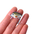 HENGJIA 5 PCS 2.7cm/1.5g Luya Rock Fishing Lures Bait Bionic Kit with Plastic Box, Box008