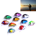 HENGJIA 10 PCS 3cm/1.5g Luya Rock Fishing Lures Bait Bionic Kit with Plastic Box, Box014 Box014