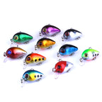 HENGJIA 10 PCS 3cm/1.5g Luya Rock Fishing Lures Bait Bionic Kit with Plastic Box, Box014