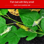 10 PCS 4cm Fishing Soft Artificial Shrimp Bait Lures Popper Poper Baits with Hook, Artificial Shrimp with Hook, Luminous Shrimp with Hook, Pink Shrimp with Hook, Green Shrimp with Hook, Transparent Shrimp with Hook