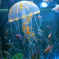 Aquarium Articles Decoration Silicone Simulation Fluorescent Sucker Jellyfish, Size: 8*20cm, 8cm 8cm Orange