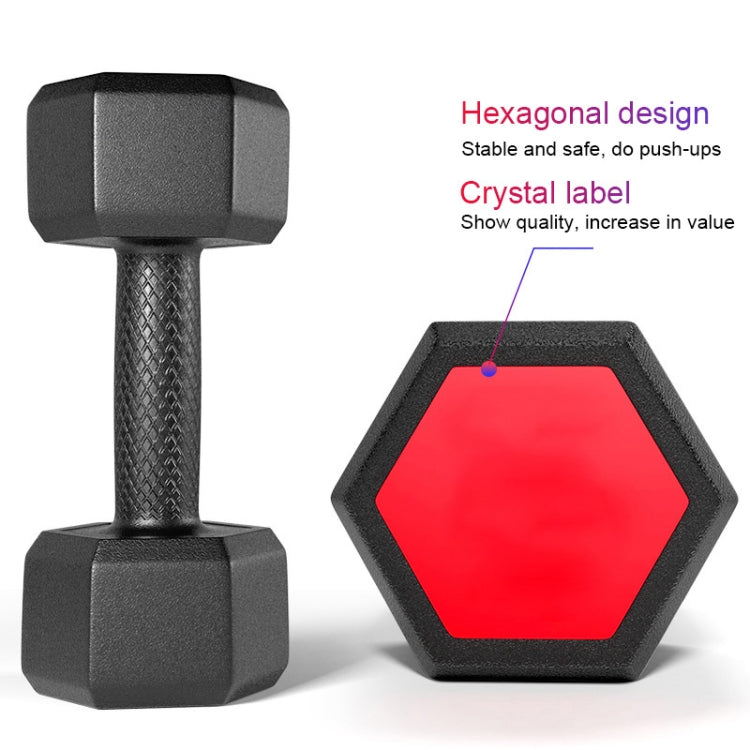 10KG Household Glue Fitness Hexagon Dumbbells, 10KG