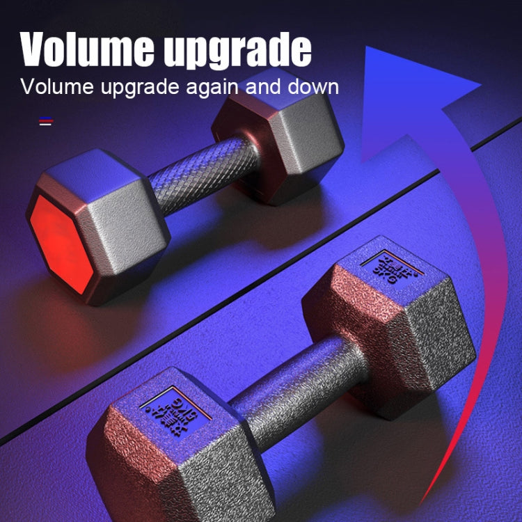 10KG Household Glue Fitness Hexagon Dumbbells, 10KG
