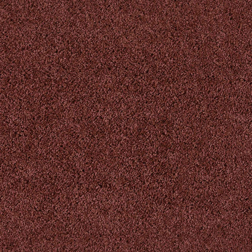 Washable Red Shaggy Rug