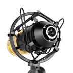 FIFINE F-700 Professional Condenser Sound Recording Microphone with Shock Mount for Studio Radio Broadcasting & Live Boardcast, 3.5mm Earphone Port, Cable Length: 2.5m