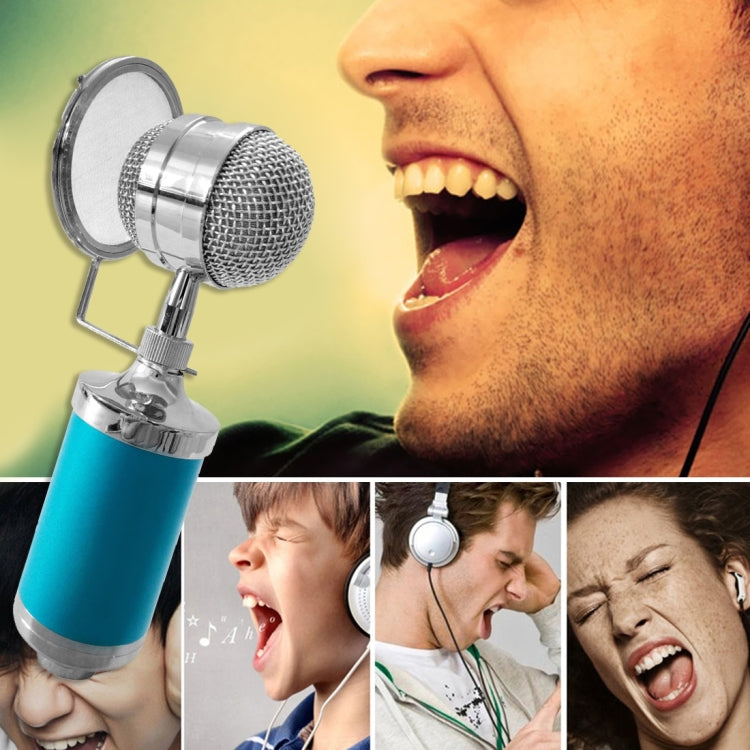 3000 Home KTV Mic Condenser Sound Recording Microphone with Shock Mount & Pop Filter for PC & Laptop, 3.5mm Earphone Port, Cable Length: 2.5m