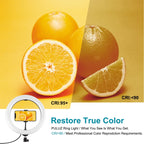 PULUZ 10.2 inch 26cm Light + 1.65m Tripod Mount Curved Surface USB 3 Modes Dimmable Dual Color Temperature Ring Vlogging Video Light Live Broadcast Kits with Phone Clamp & Selfie Remote Control, 10.2 inch+1.65m Tripod
