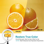 PULUZ 10.2 inch 26cm Light + Desktop Tripod Mount USB 3 Modes Dimmable Dual Color Temperature LED Curved Diffuse Light Ring Vlogging Selfie Photography Video Lights with Phone Clamp, 10.2 inch Curved+Tripod
