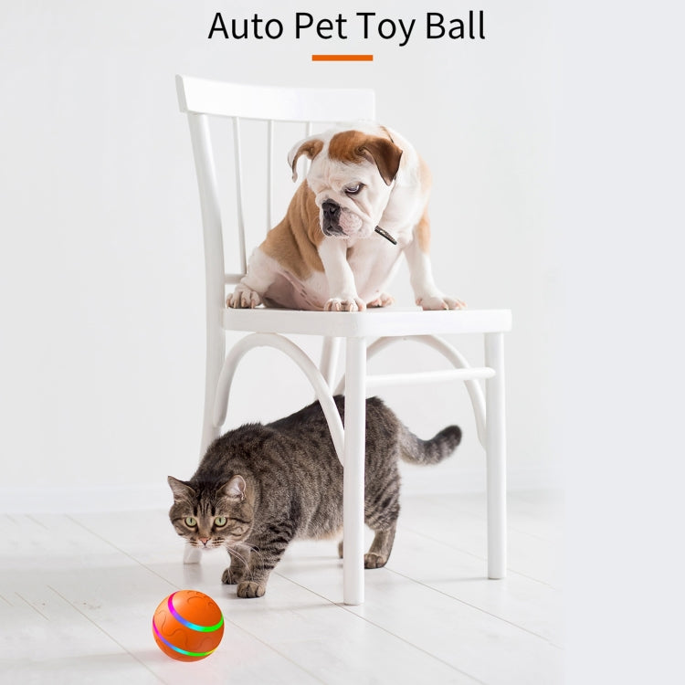 O1 Intelligent Remote Control Pet Toy Dog Training Luminous Ball, Remote Control