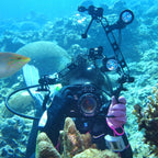 PULUZ 12 inch 30.4cm Length 20.8mm Diameter Dual Balls Carbon Fiber Floating Arm, Ball Diameter: 25mm, 12 inch Black