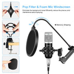 Studio Broadcast Professional Singing Microphone Kits with Suspension Scissor Arm & Metal Shock Mount & USB Sound Card, Microphone Kits (Black), Microphone Kits (Silver) – TPU
