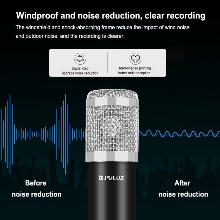 Studio Broadcast Professional Singing Microphone Kits with Suspension Scissor Arm & Metal Shock Mount & USB Sound Card, Microphone Kits (Black), Microphone Kits (Silver) – TPU