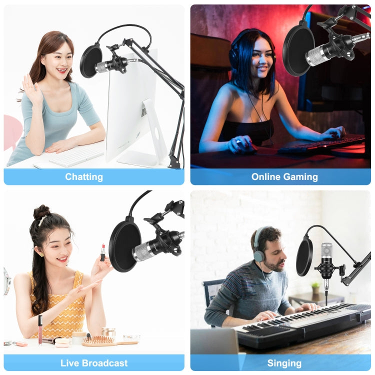 Studio Broadcast Professional Singing Microphone Kits with Suspension Scissor Arm & Metal Shock Mount & USB Sound Card, Microphone Kits (Black), Microphone Kits (Silver) – TPU