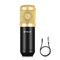 PULUZ Condenser Microphone Studio Broadcast Professional Singing Microphone Default Title