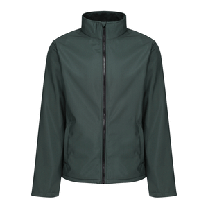 Dark Spruce / Black