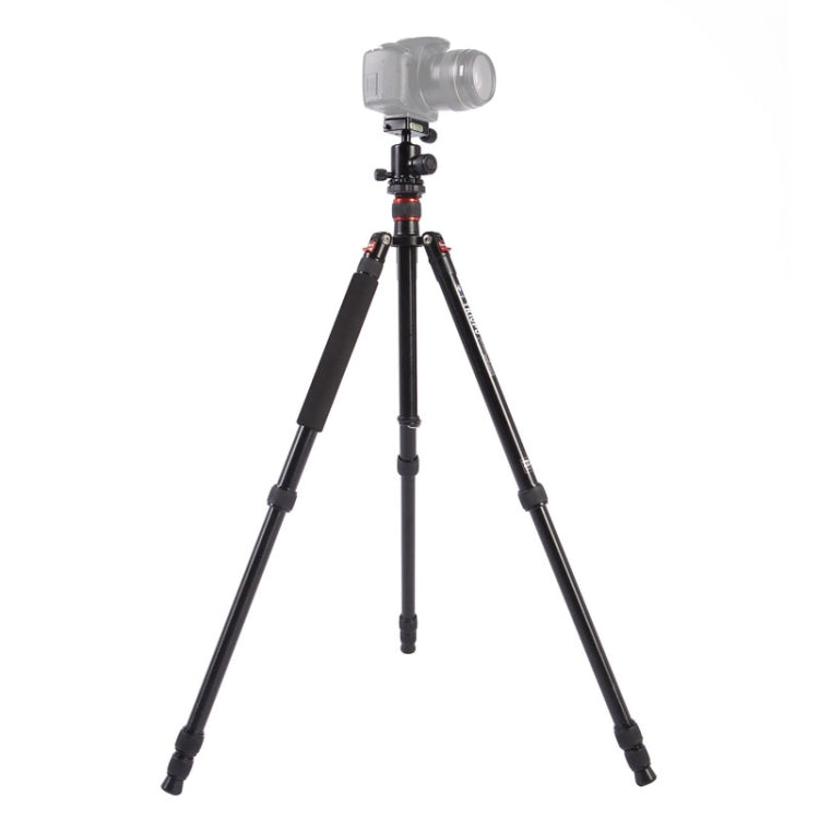Triopo MT-2504C Adjustable Portable Aluminum Tripod with NB-1S Ball Head for Canon Nikon Sony DSLR Camera, MT-2504C (Black), MT-2504C (Gold) MT-2504C (Black) S-DCA-0410A